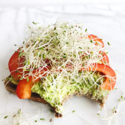 Smashed White Bean and Avocado Open Face Sandwich | Living Well With Nic