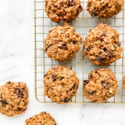 Vegan Oatmeal Cranberry Cookies | Living Well With Nic
