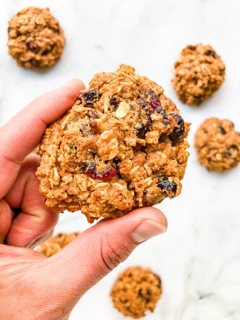 Vegan Oatmeal Cranberry Cookies | Living Well With Nic